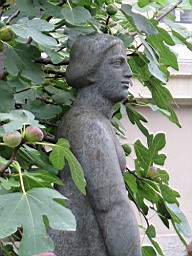 ProbstBSca1925_18.JPG