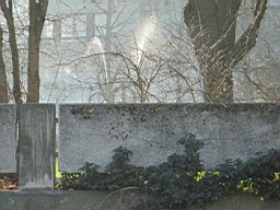 FribBov_102.JPG