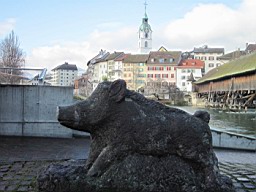 OltenEb_03.JPG