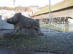 OltenEb_04.JPG