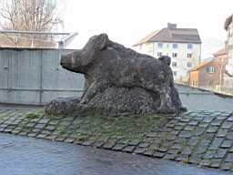 OltenEb_05.JPG