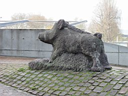 OltenEb_59.JPG