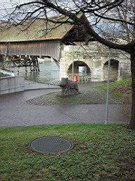 OltenEb_79.JPG