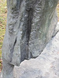 OltenSae_093.JPG