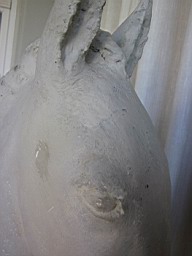 Reig_ModPferd_24.JPG