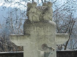 Wald_Schul_036.JPG