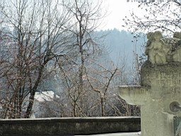 Wald_Schul_060.JPG
