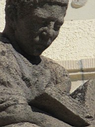 Wald_Schul_091.JPG