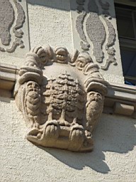 Wald_Schul_134.JPG