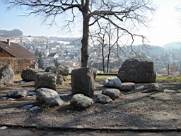 Wald_Schul_174.JPG
